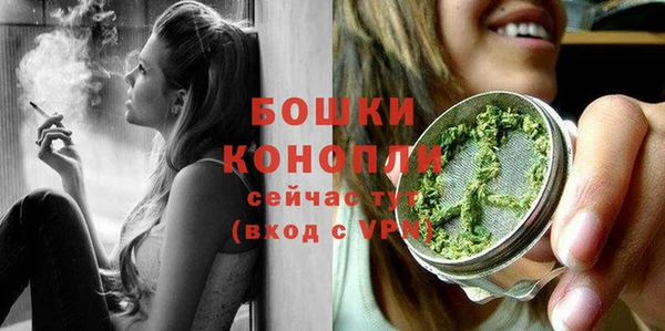 прущие грибы Михайлов